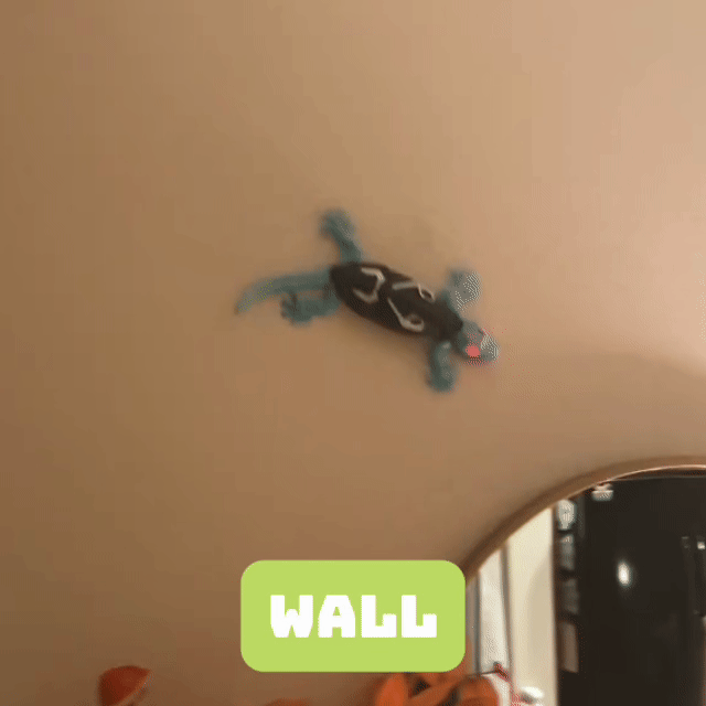 Wall Crawling Gecko